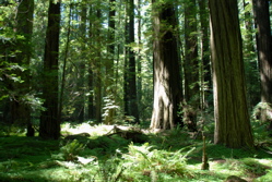 dsc_0021.jpg