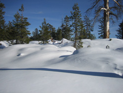 snow.jpg