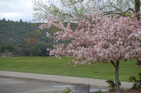 dsc_0009.jpg