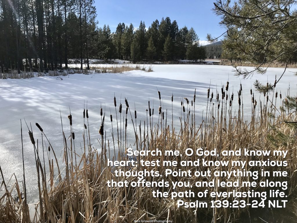 Search - Psalms 139:23-24