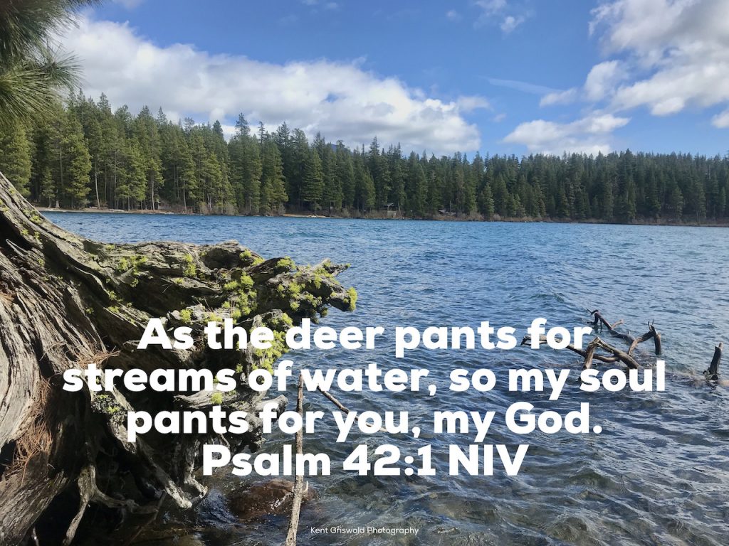 Yearning - Psalm 42:1