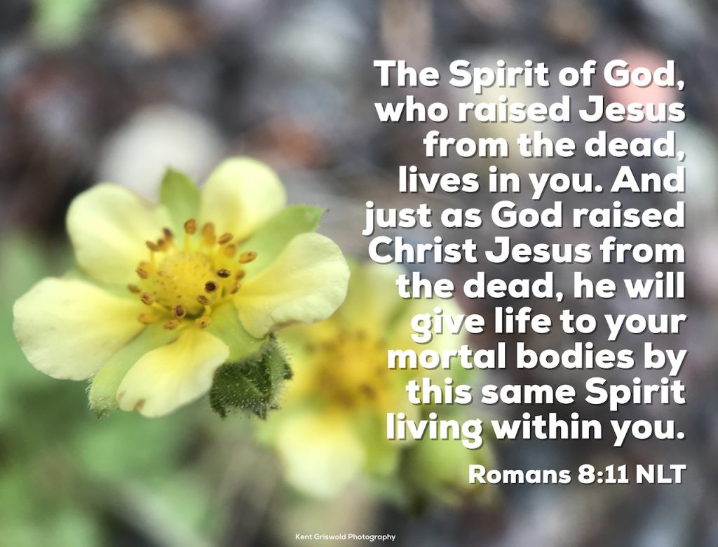 Spirit - Romans 8:11