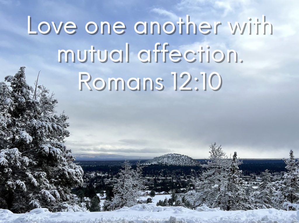 Love - Romans 12:10