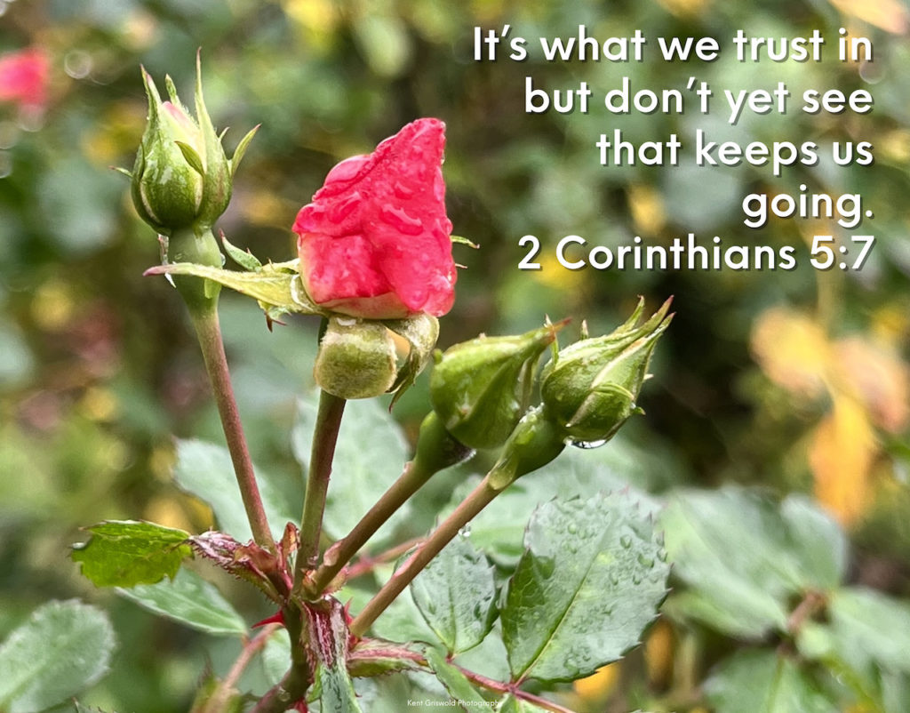 Trust - 2 Corinthians 5:7