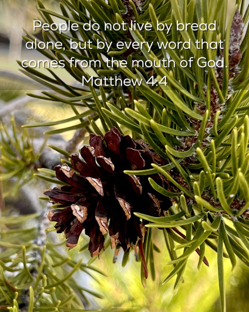 Word - Matthew 4:4