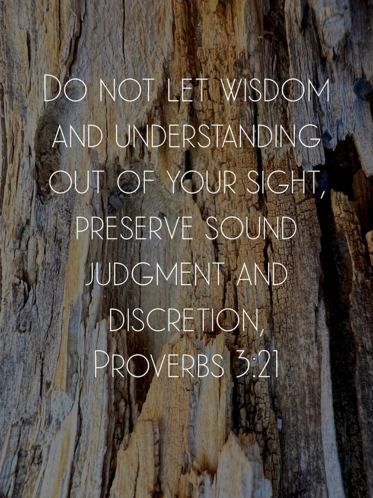 Wisdom - Proverbs 3:21