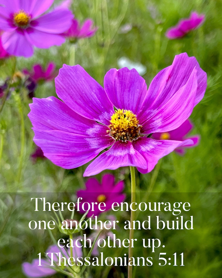 Build Each Other Up - Daily Scripture